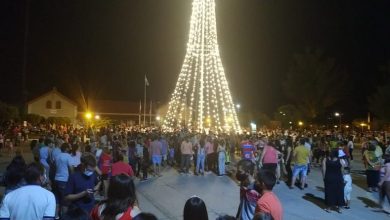 Photo of Fw: Inauguran un árbol de navidad gigante en Ceres